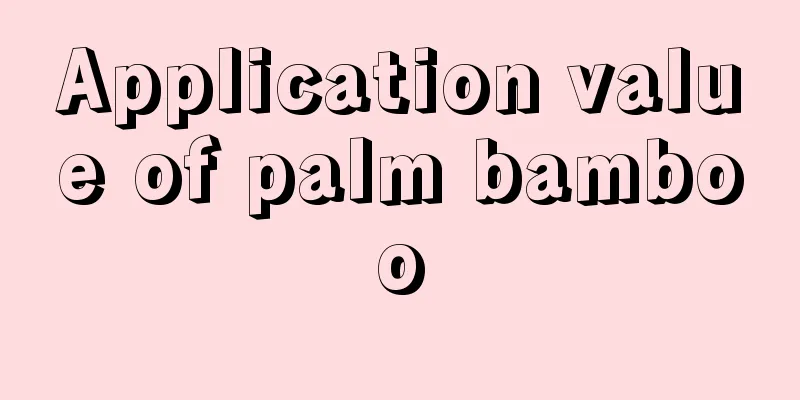 Application value of palm bamboo