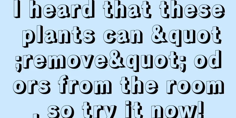 I heard that these plants can "remove" odors from the room, so try it now!