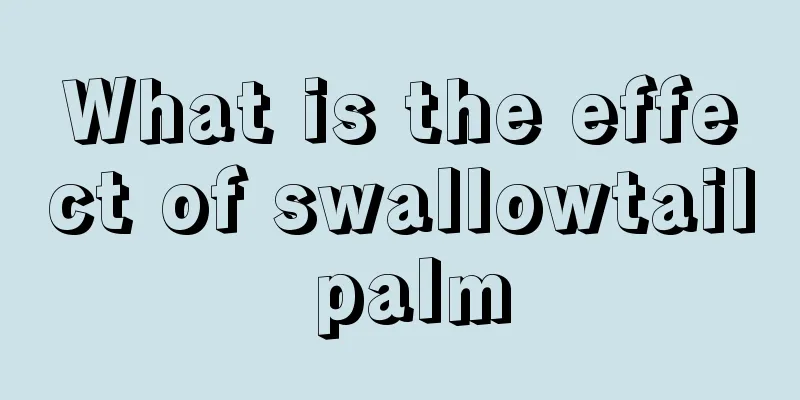 What is the effect of swallowtail palm