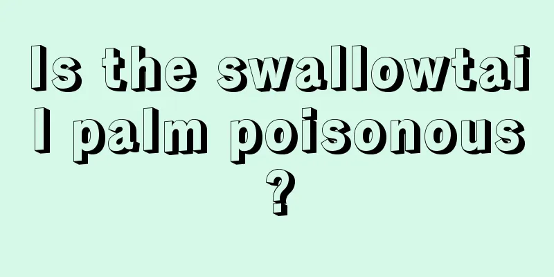 Is the swallowtail palm poisonous?