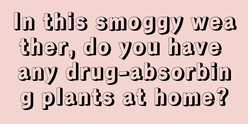 In this smoggy weather, do you have any drug-absorbing plants at home?