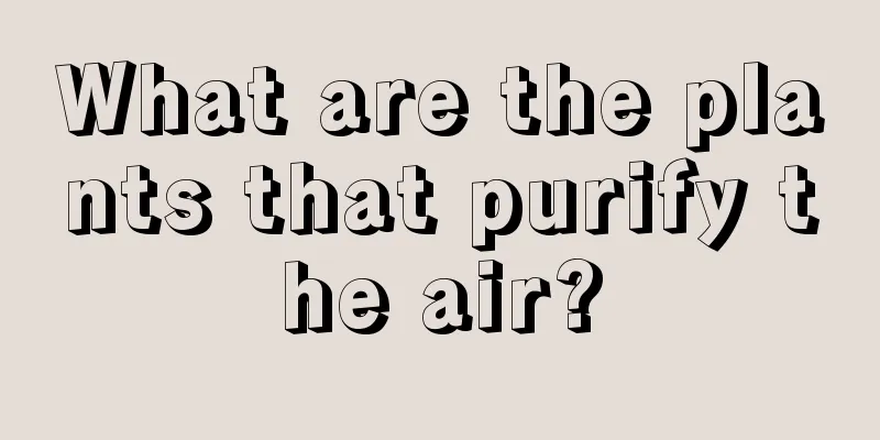 What are the plants that purify the air?