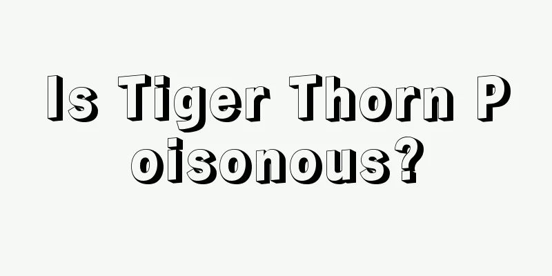 Is Tiger Thorn Poisonous?