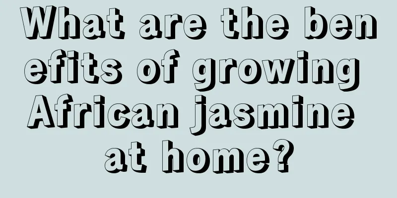 What are the benefits of growing African jasmine at home?