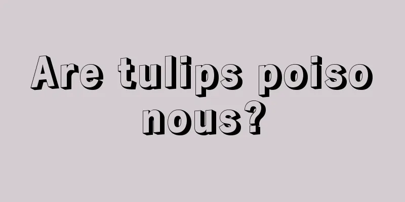 Are tulips poisonous?