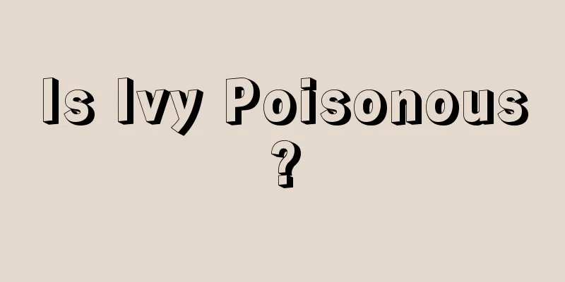 Is Ivy Poisonous?