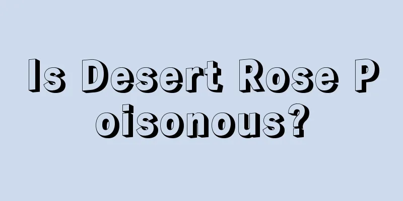 Is Desert Rose Poisonous?