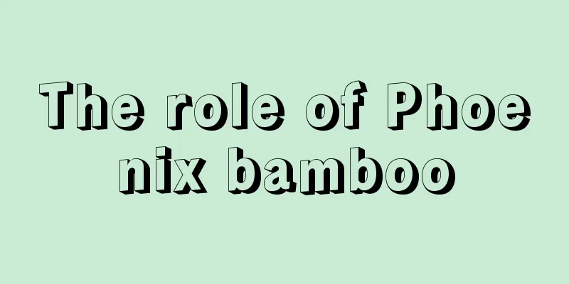 The role of Phoenix bamboo