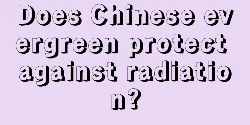 Does Chinese evergreen protect against radiation?