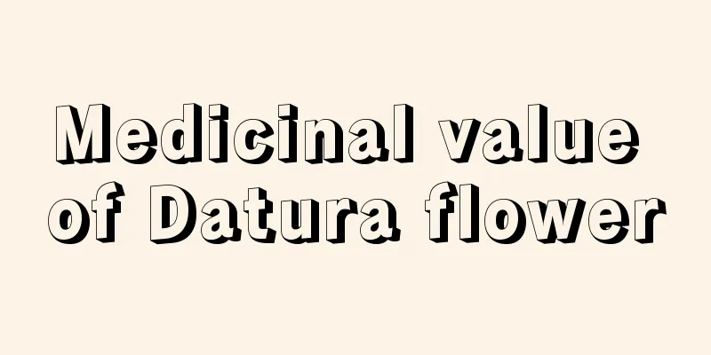 Medicinal value of Datura flower