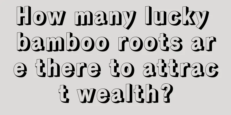 How many lucky bamboo roots are there to attract wealth?