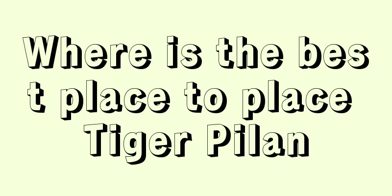 Where is the best place to place Tiger Pilan