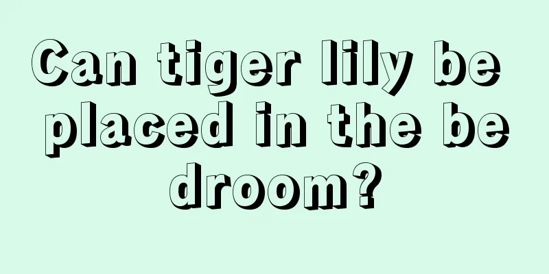 Can tiger lily be placed in the bedroom?