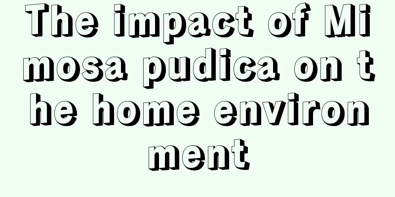 The impact of Mimosa pudica on the home environment