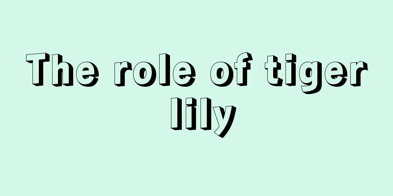 The role of tiger lily