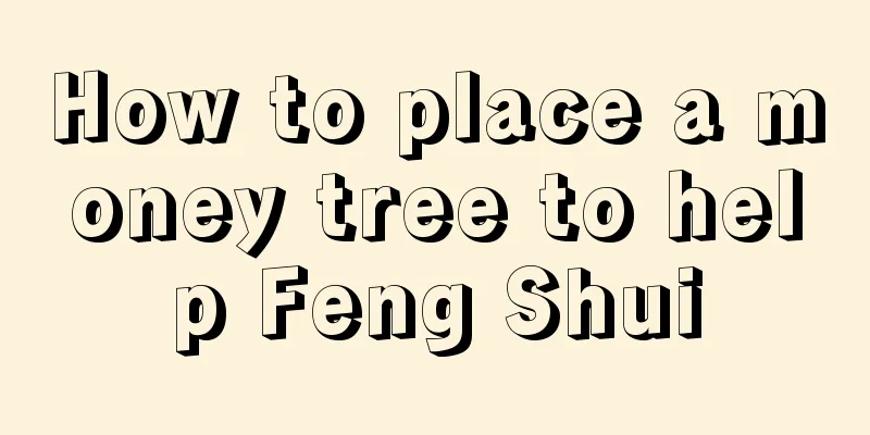 How to place a money tree to help Feng Shui