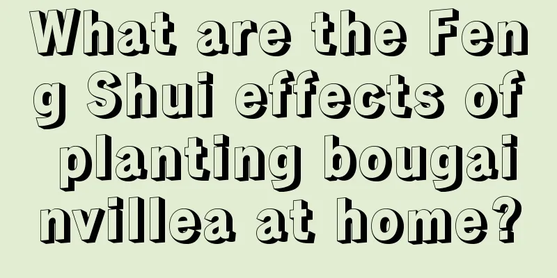 What are the Feng Shui effects of planting bougainvillea at home?