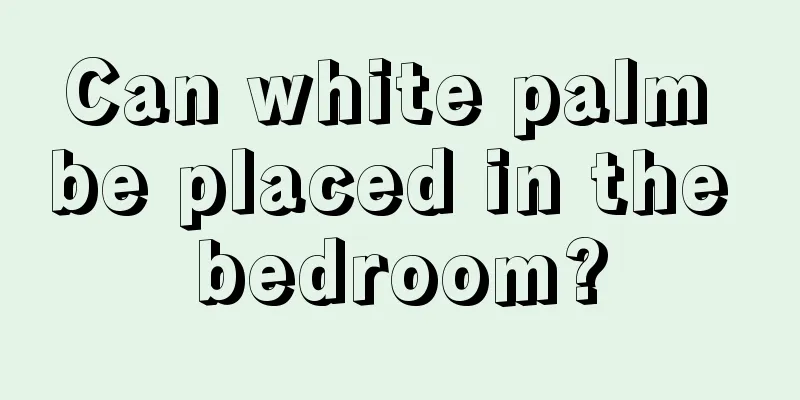 Can white palm be placed in the bedroom?