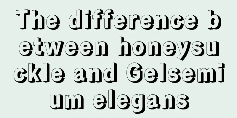 The difference between honeysuckle and Gelsemium elegans