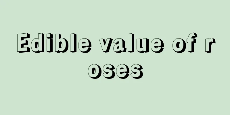 Edible value of roses