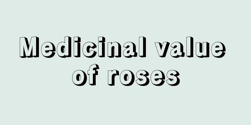 Medicinal value of roses