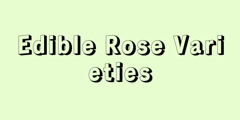 Edible Rose Varieties