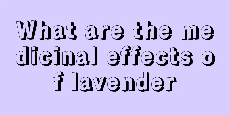 What are the medicinal effects of lavender