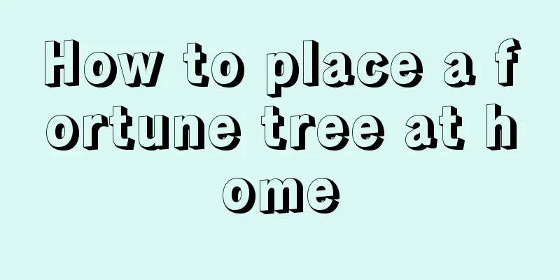 How to place a fortune tree at home