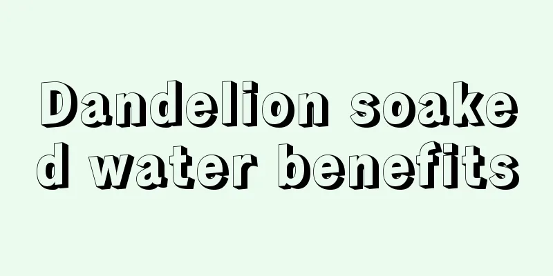 Dandelion soaked water benefits