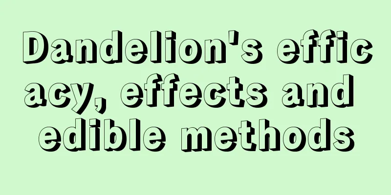 Dandelion's efficacy, effects and edible methods