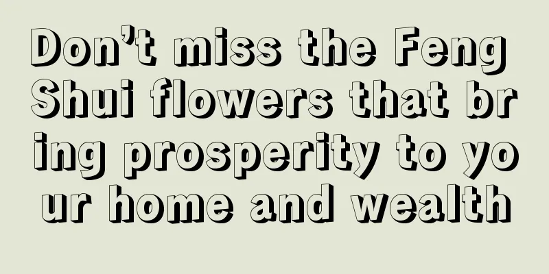 Don’t miss the Feng Shui flowers that bring prosperity to your home and wealth