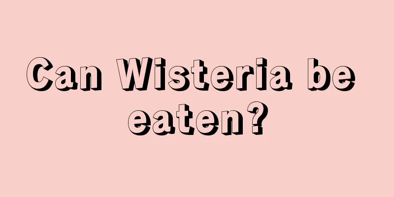 Can Wisteria be eaten?