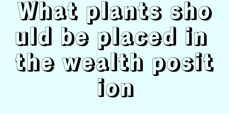 What plants should be placed in the wealth position