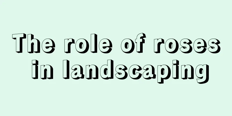 The role of roses in landscaping