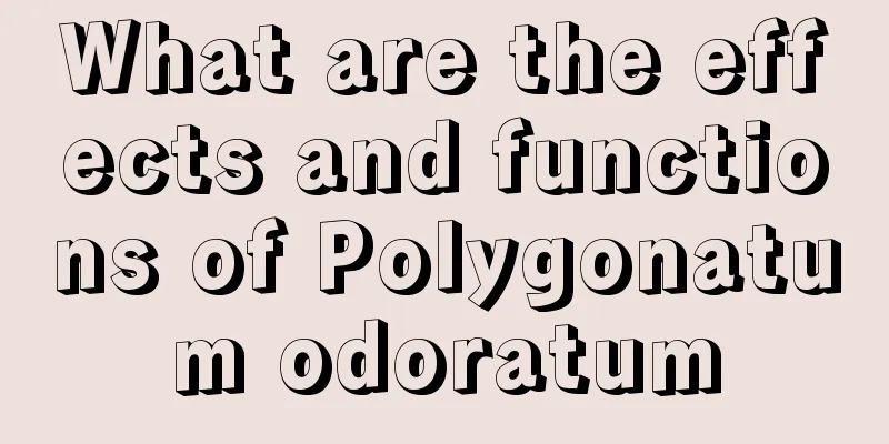 What are the effects and functions of Polygonatum odoratum