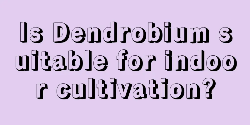 Is Dendrobium suitable for indoor cultivation?