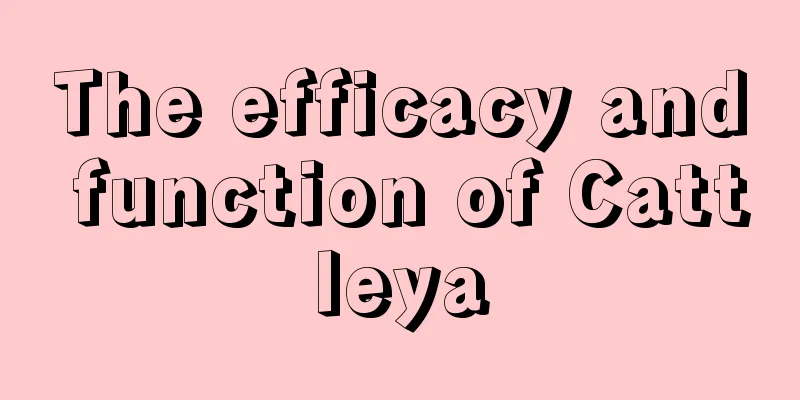 The efficacy and function of Cattleya