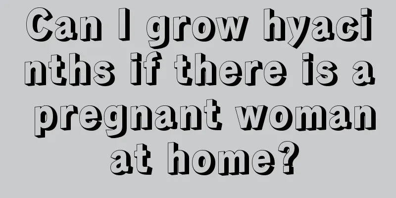 Can I grow hyacinths if there is a pregnant woman at home?