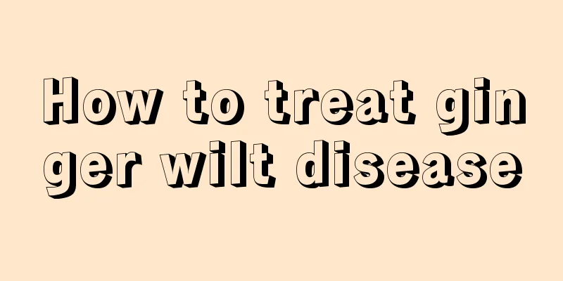 How to treat ginger wilt disease