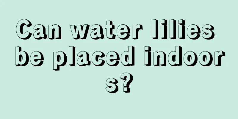 Can water lilies be placed indoors?