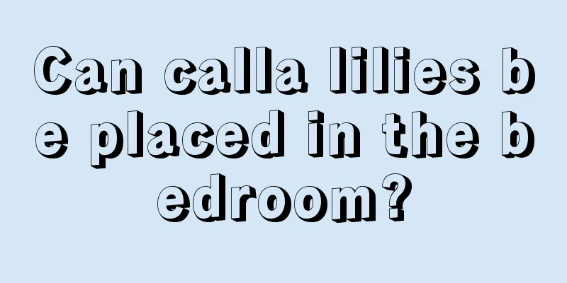 Can calla lilies be placed in the bedroom?