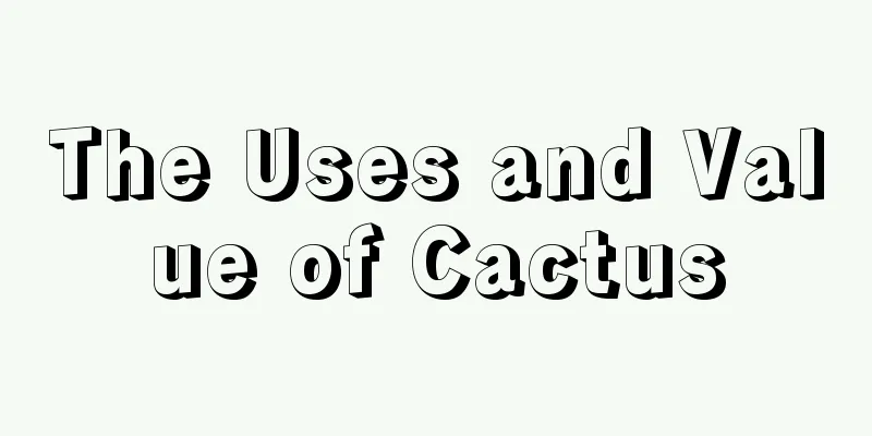 The Uses and Value of Cactus