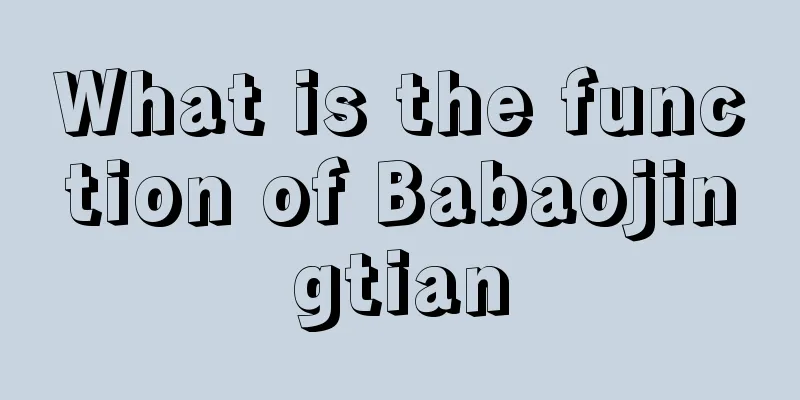 What is the function of Babaojingtian