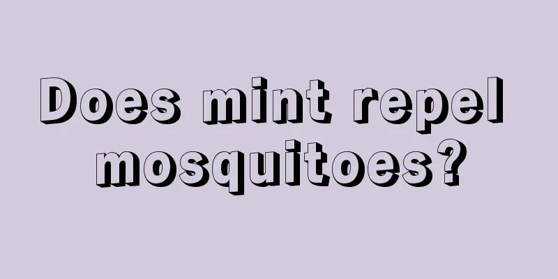 Does mint repel mosquitoes?