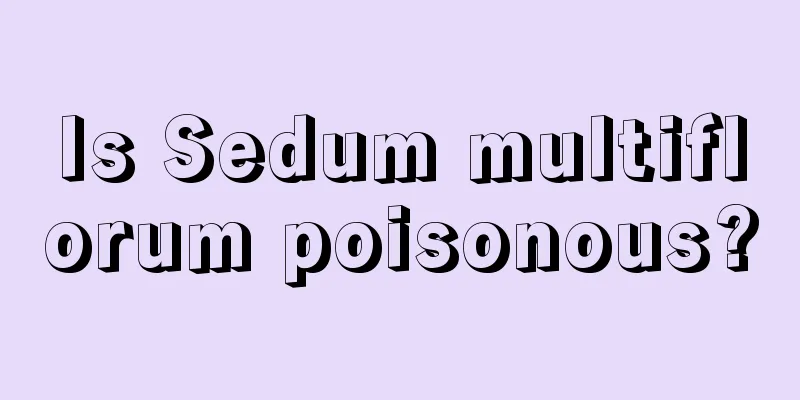 Is Sedum multiflorum poisonous?