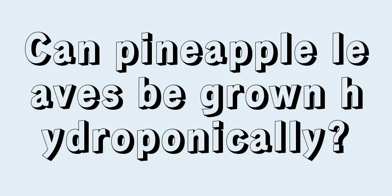 Can pineapple leaves be grown hydroponically?