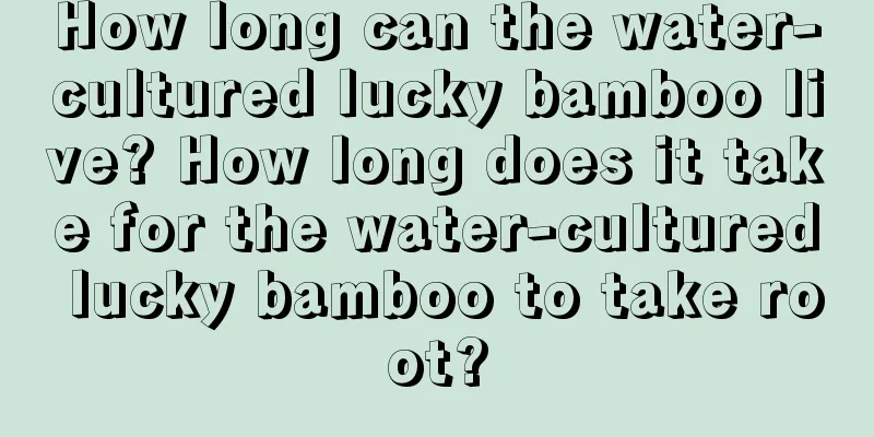 How long can the water-cultured lucky bamboo live? How long does it take for the water-cultured lucky bamboo to take root?