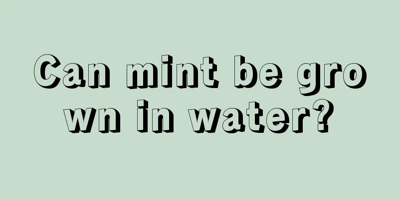 Can mint be grown in water?