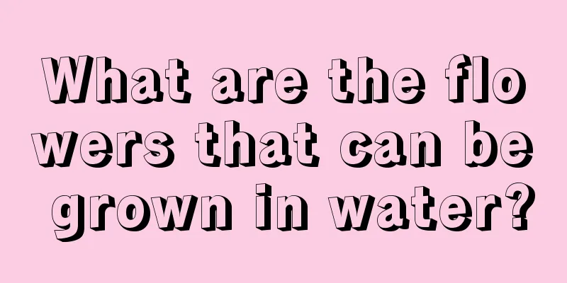 What are the flowers that can be grown in water?