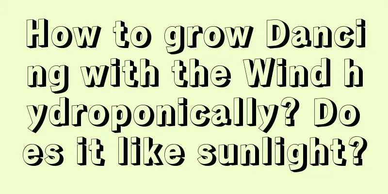 How to grow Dancing with the Wind hydroponically? Does it like sunlight?